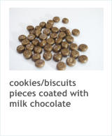 cookies/biscuits pieces coated with milk chocolate